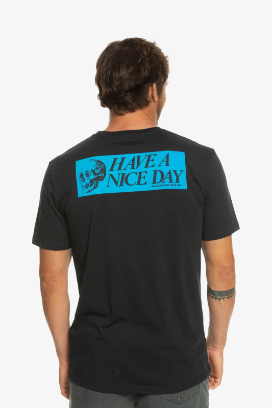 Quiksilver Nıcedayss Erkek Siyah T-Shirt EQYZT07217-KVJ0 - 2