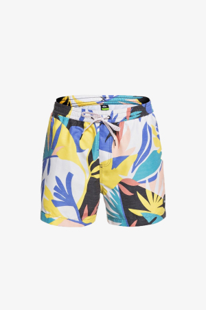 Quiksilver Nodestvly15 Jamv Erkek Renkli Deniz Şortu EQYJV03542-WBK6
