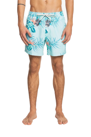 Quiksilver Paradıse Express Volley 15 Erkek Mavi Deniz Şortu EQYJV03705-GEA6 - Quiksilver