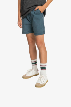 Quiksilver Taxerwsyth Bkst Çocuk Lacivert Şort EQBWS03330-BSL0 - Quiksilver