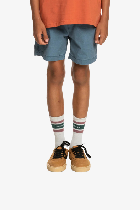 Quiksilver Taxerwsyth Bkst Çocuk Mavi Şort EQBWS03330-BYG0 - 1