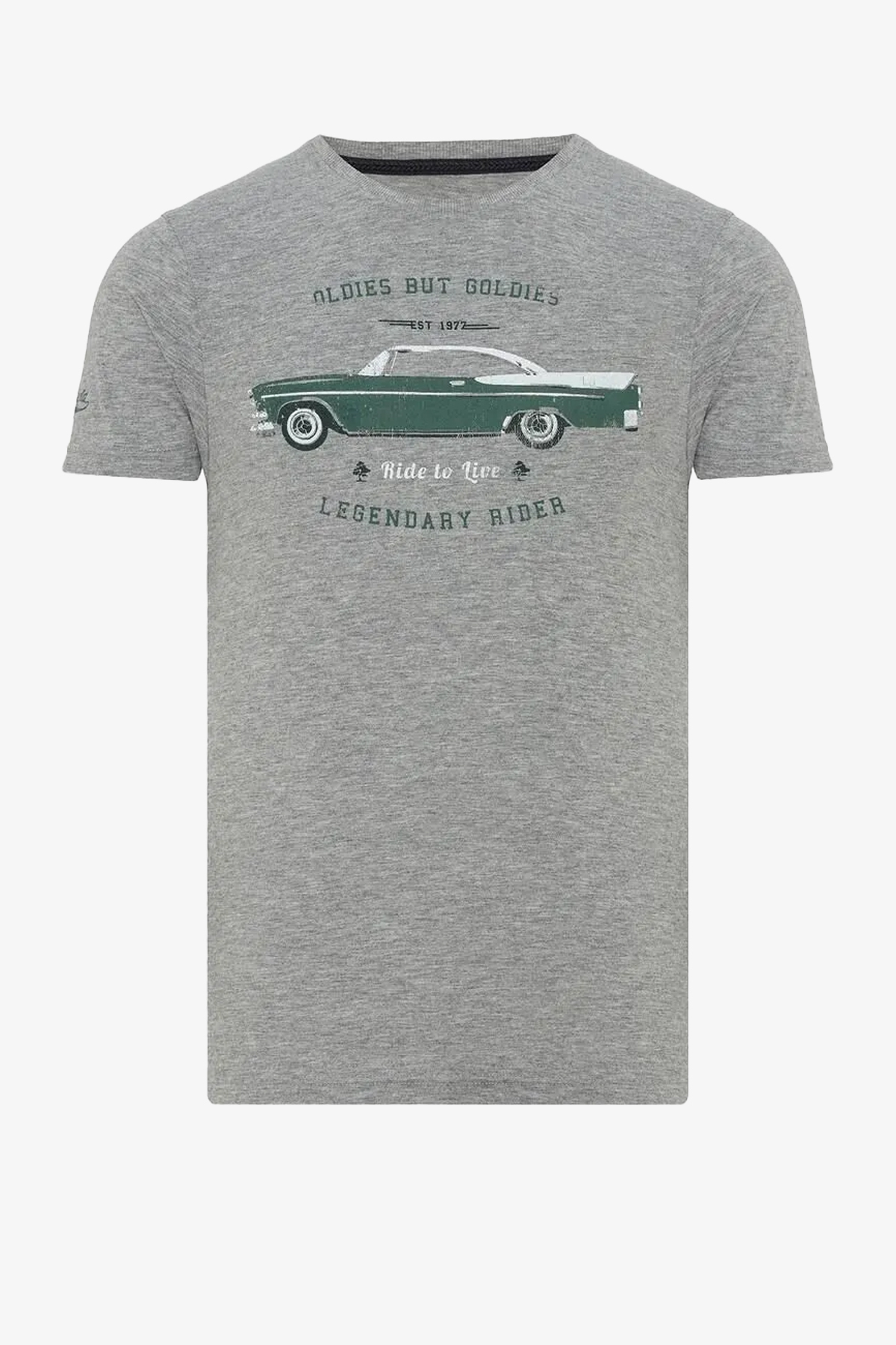 Routefıeld Thru Erkek Gri T-Shirt RFTHRU23-23394