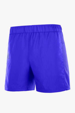Salomon Agıle 5'' Erkek Mavi KOŞU ŞORTU LC1479300-17084 - 2