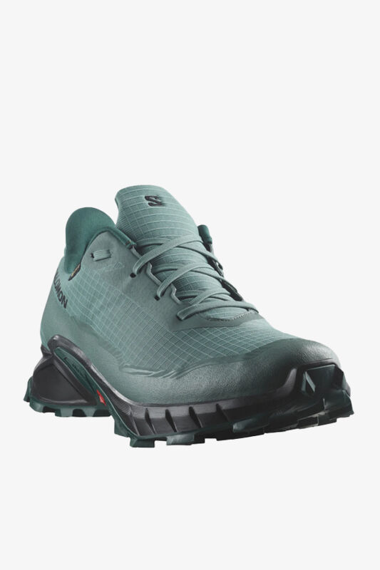 Salomon Alphacross 5 Gtx Erkek Mavi Patika Koşu Ayakkabısı L47595000-28514 - 2