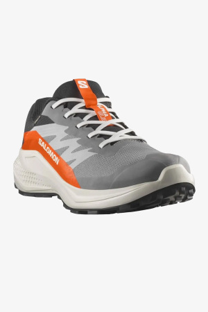 Salomon Alphaglıde Gore-Tex Erkek Gri Patika Koşu Ayakkabısı L47975300-7512 - 2