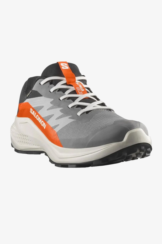 Salomon Alphaglıde Gore-Tex Erkek Gri Patika Koşu Ayakkabısı L47975300-7512 - 2