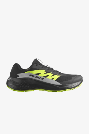 Salomon Alphaglide Gore-Tex Erkek Siyah Patika Koşu Ayakkabısı L47802000 - Salomon