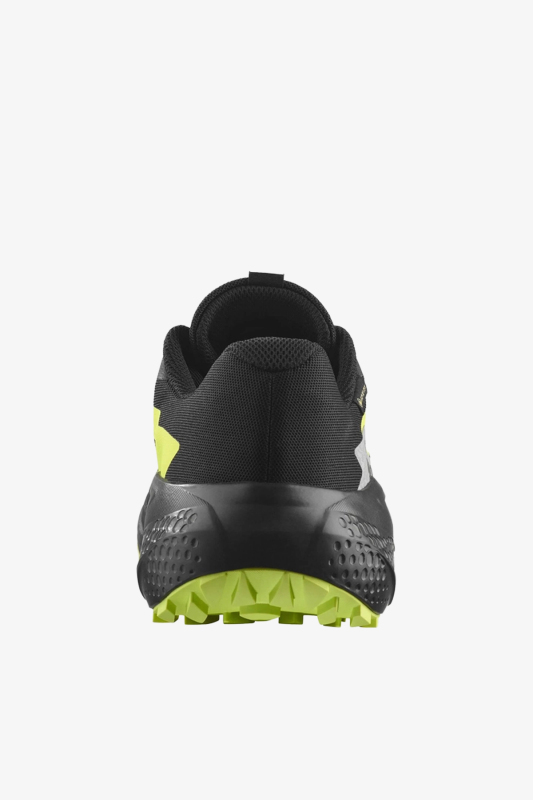 Salomon Alphaglide Gore-Tex Erkek Siyah Patika Koşu Ayakkabısı L47802000 - 4