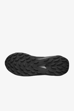 Salomon Alphaglıde Gore-Tex Erkek Siyah Patika Koşu Ayakkabısı L47802100-5379 - 5