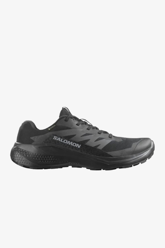 Salomon Alphaglıde Gore-Tex Erkek Siyah Patika Koşu Ayakkabısı L47802100-5379 - 1