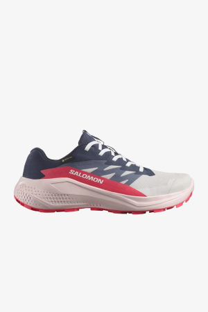 Salomon Alphaglide Gore-Tex Kadın Gri Patika Koşu Ayakkabısı L47802300 - Salomon