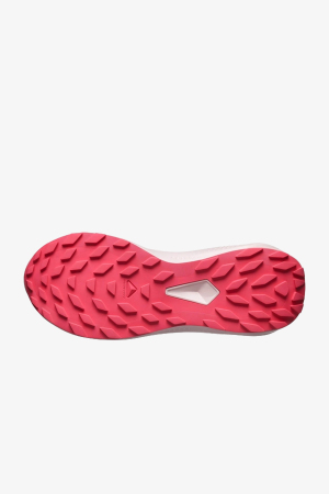 Salomon Alphaglide Gore-Tex Kadın Gri Patika Koşu Ayakkabısı L47802300 - 5