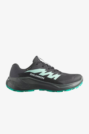 Salomon Alphaglide Gore-Tex Kadın Gri Patika Koşu Ayakkabısı L47802400 - Salomon