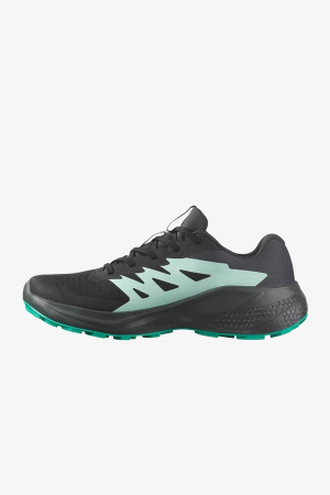 Salomon Alphaglide Gore-Tex Kadın Gri Patika Koşu Ayakkabısı L47802400 - 2