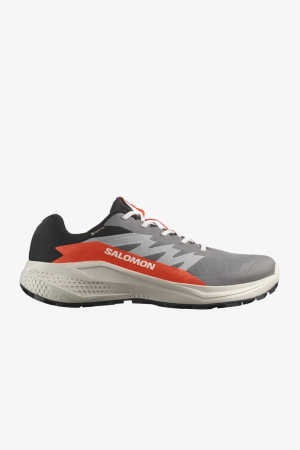 Salomon Alphaglide GTX Erkek Gri Patika Koşu Ayakkabısı L47975300 - Salomon