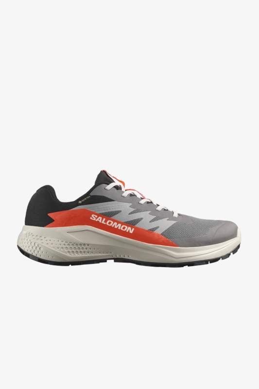 Salomon Alphaglide GTX Erkek Gri Patika Koşu Ayakkabısı L47975300 - 1