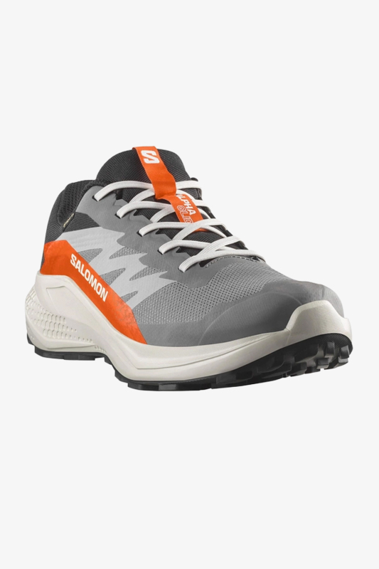 Salomon Alphaglide GTX Erkek Gri Patika Koşu Ayakkabısı L47975300 - 2