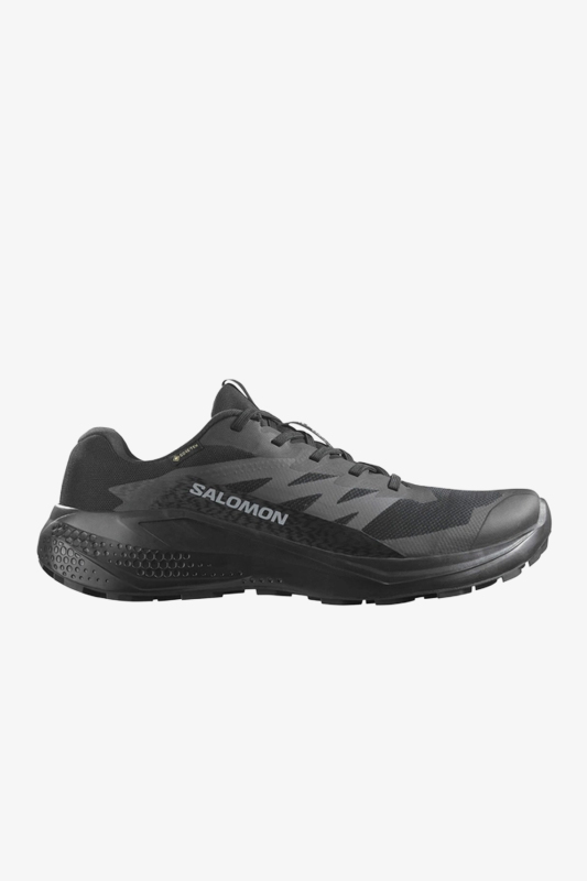 Salomon Alphaglide GTX Erkek Siyah Patika Koşu Ayakkabısı L47802100 - 1