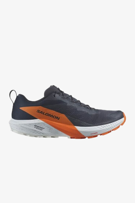 Salomon Sense Ride 5 Gtx Erkek Mavi Patika Koşu Ayakkabısı L47459400-28507 - 1