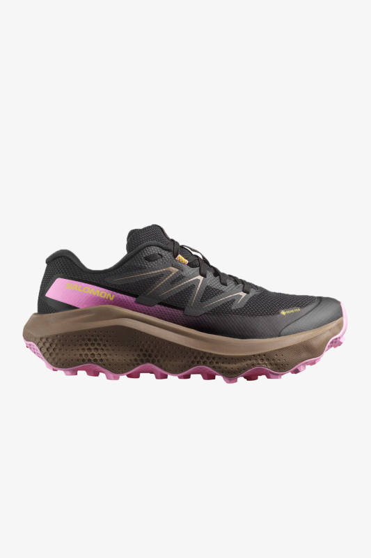 Salomon Ultra Flow 2 GTX Kadın Siyah Patika Koşu Ayakkabısı L47884400 - 1