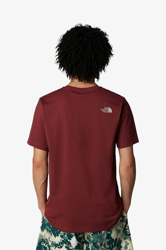 The Nort Face M Ss Easy Erkek Gri T-Shirt NF0A8A6C58C1 - 3