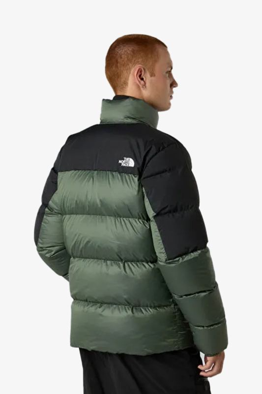 The North Face Dıablo Down 2.0 Erkek Yeşil Mont NF0A8993EIH1 - 3