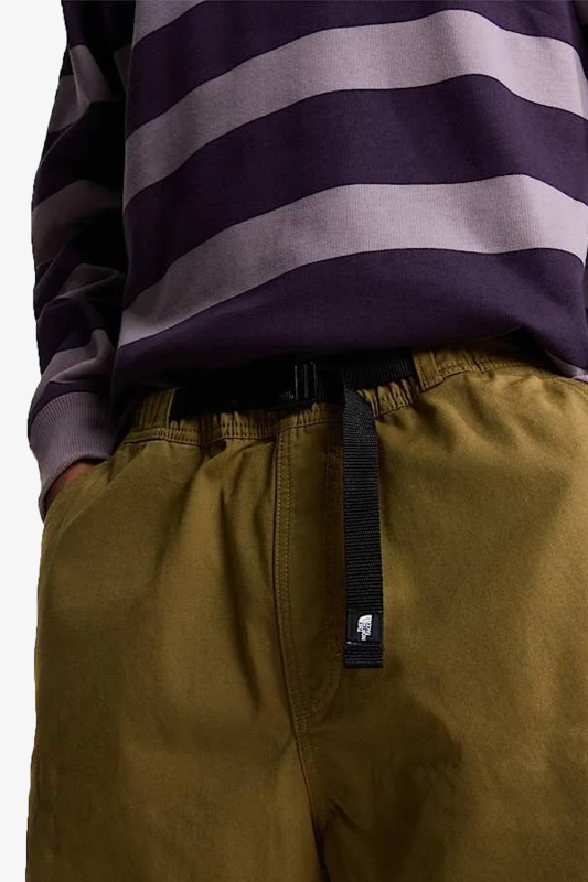 The North Face M Baggy Erkek Sarı Şort NF0A8G0A2EL1 - 3