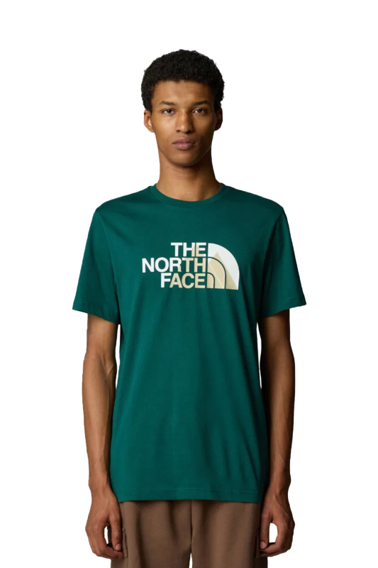 The North Face M Bıner Graphıc 1 Erkek Yeşil T-Shirt NF0A894X6GI1 - 1