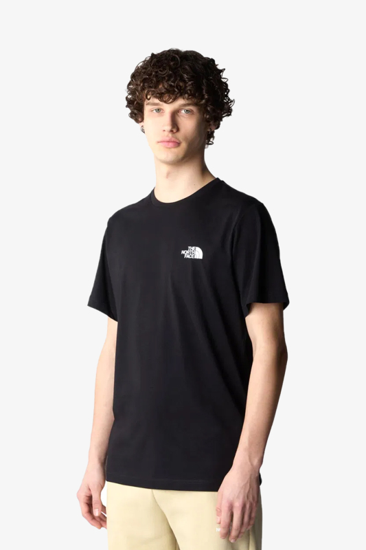 The North Face M Bıner Graphıc 4 Erkek Siyah T-Shirt NF0A894ZJK31 - 1