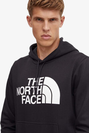 The North Face M Easy Hoodıe Erkek Siyah Sweatshirt NF0A89FFJK31 - 3