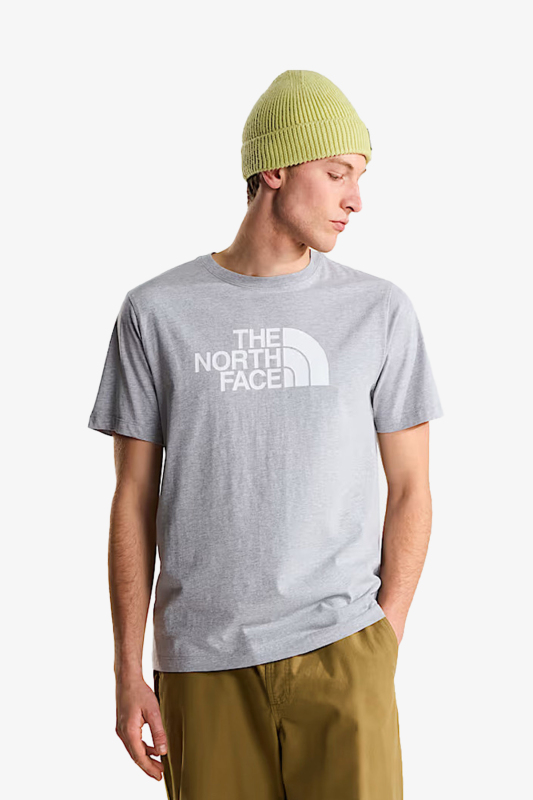 The North Face M Evolutıon Half Dome Regular Erkek Gri T-Shirt NF0A8B6JCU71 - 1