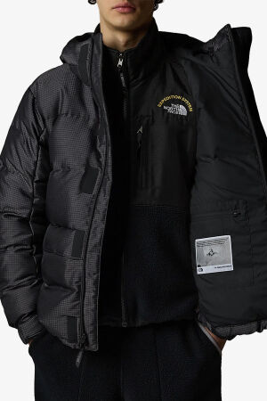 The North Face M Hmlyn 30 Annıversary Erkek Gri Parka NF0A88XE1OA1 - 5