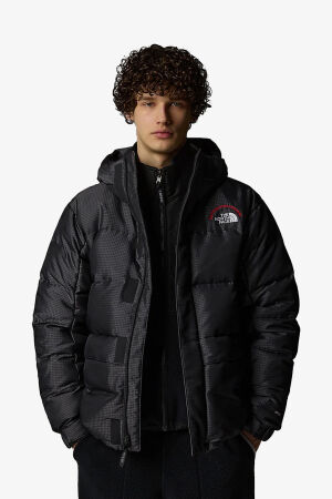 The North Face M Hmlyn 30 Annıversary Erkek Gri Parka NF0A88XE1OA1 - 2