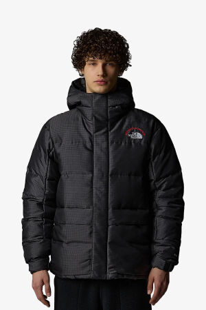 The North Face M Hmlyn 30 Annıversary Erkek Gri Parka NF0A88XE1OA1 - 1