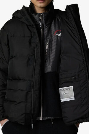 The North Face M Hmlyn 30 Annıversary Erkek Siyah Parka NF0A88XEJK31 - 6