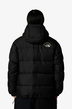 The North Face M Hmlyn 30 Annıversary Erkek Siyah Parka NF0A88XEJK31 - 3