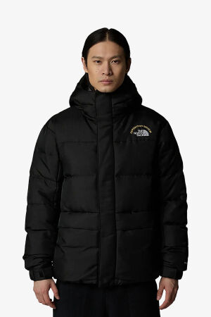 The North Face M Hmlyn 30 Annıversary Erkek Siyah Parka NF0A88XEJK31 - 2