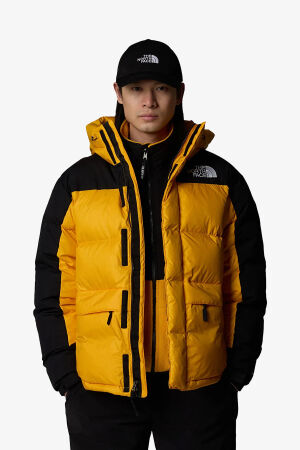 The North Face M Hmlyn Down Erkek Sarı Parka NF0A4QYXZU31 - 2