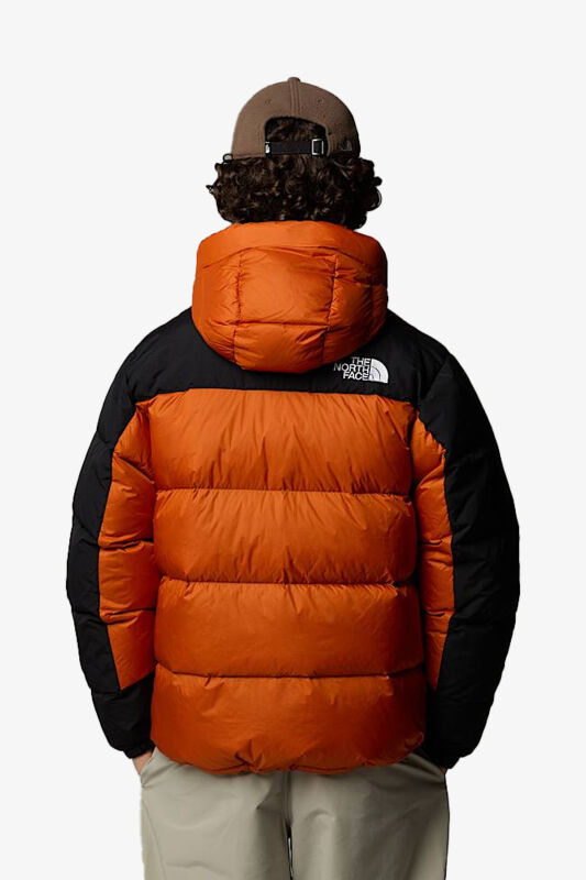 The North Face M Hmlyn Down Erkek Turuncu Parka NF0A4QYX5PO1 - 4