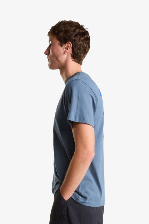 The North Face M Icon Celebratıon Regular Erkek Gri T-Shirt NF0A8GAS0U31 - 2