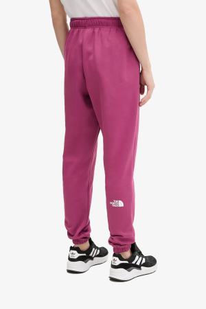 The North Face W Sımple Dome Regular Tapered Jogger Kadın Mor Eşofman Altı NF0A8C1Y6EO1 - 3
